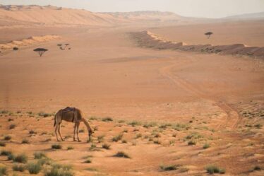 itinerario-di-viaggio-in-oman-per-2-settimane