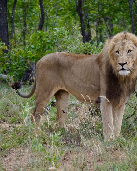 sudafrica-ad-agosto-2-settimane:-due-itinerari-per-te