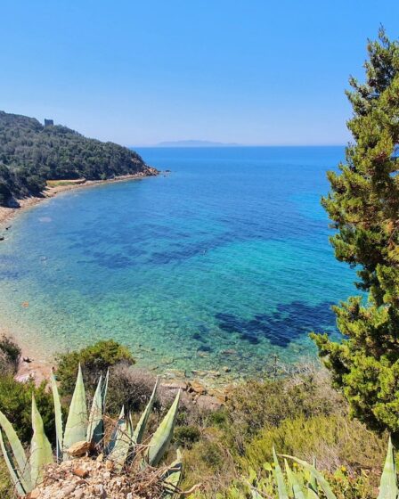 maremma-toscana:-dormire-nel-cuore-del-parco-dell’uccellina-con-spiaggia-privata
