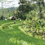 cosa-fare-a-sidemen,-bali:-villaggio-ancora-autentico