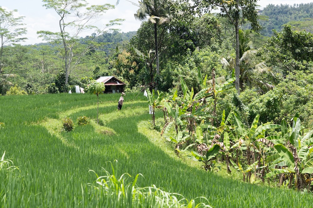 cosa-fare-a-sidemen,-bali:-villaggio-ancora-autentico