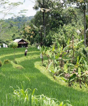 cosa-fare-a-sidemen,-bali:-villaggio-ancora-autentico