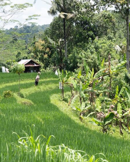 cosa-fare-a-sidemen,-bali:-villaggio-ancora-autentico