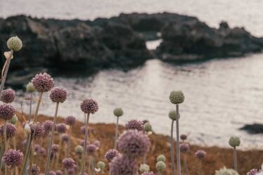 come-organizzare-una-vacanza-ad-ustica